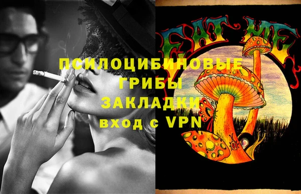 амф Нягань